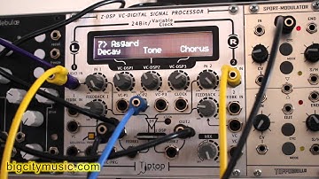 Halls of Valhalla Tiptop Z-DSP demo (gyroscopic bowl)