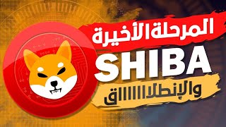 عمله shiba والمرحله الاخيره من التجميع 🔥وثم انطلاق العمله🚀 مرحله مفترق الطرق 🔥🚀