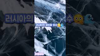 러시아의 바이칼 호수😳🥰 #러시아 #불곰국 #불곰밈 #바이칼호수 #쇼츠