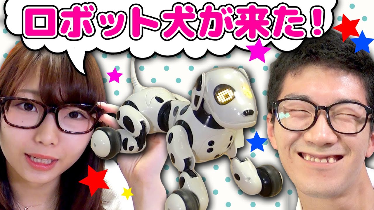 オムニボット 犬ロボット ハローズーマー完全に懐かせてみた Youtube