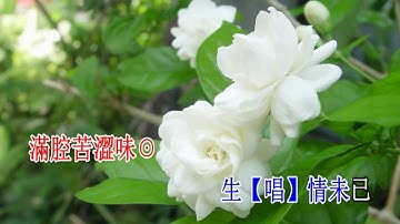 Thumbnail of 二郎橋之永繫不了情_(百靈鳥子喉伴唱)