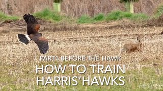 Pt.1 HOW TO TRAIN A Harris Hawk; getting ready for the new hawk .