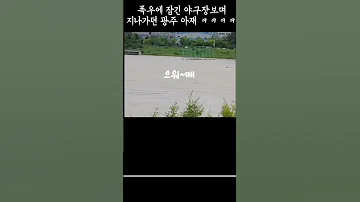 안타까운 소식인데 말투가 너무 웃긴 광주 아재 이정후 