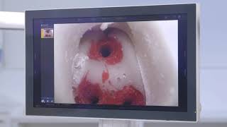Intego Patient Communication