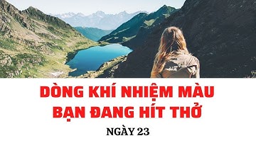 NGÀY 23/28 DÒNG KHÍ NHIỆM MÀU BẠN ĐANG HÍT THỞ | Hành trình phép màu