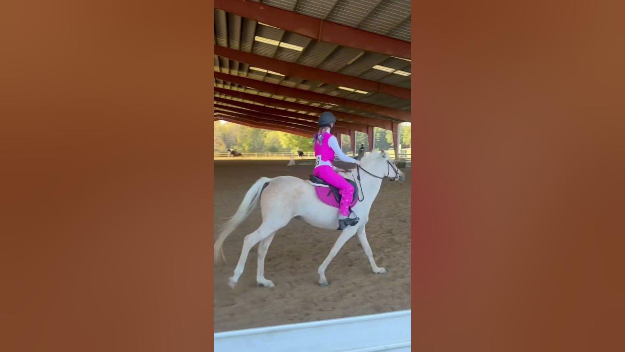 Winnie was perf for our first show! She won 2 🥈 and 2 🥉 out of 9