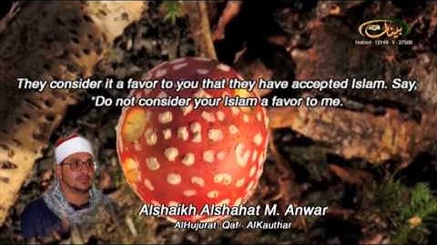 الشحات محمد أنور ـ سورة الحجرات وق والكوثر