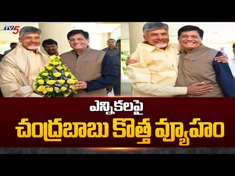 ఎన్నికలపై చంద్రబాబు కొత్త వ్యూహం | Chandrababu Naidu Master Plan On AP Elections 2024 | TV5 News - TV5NEWS