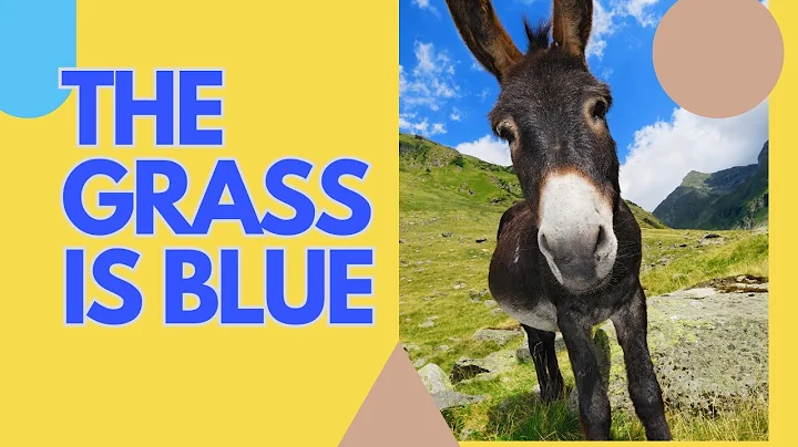 WHY You SHOULDN'T Argue With A "DONKEY"