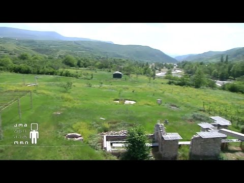 არტ-ვილა გარიყულა - ანი ვაშაგაშვილის სიუჟეტი