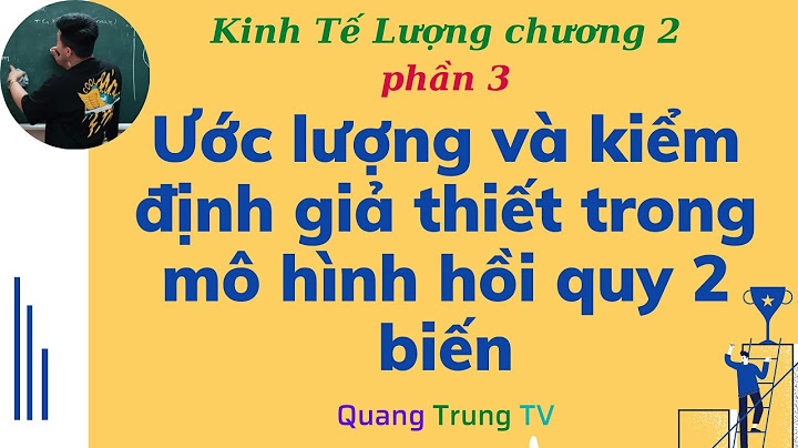 Bài tập kinh tế lượng có lời giải chương 2 năm 2024