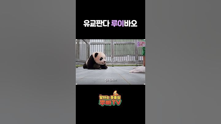 전생같은 인사요정 루이의 첫 인사