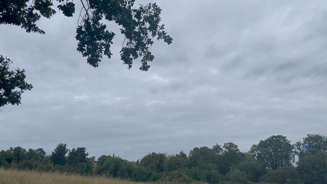 Walking in nature .Expose eyes,skin,blood vessels,white fat under the skin to sunlight.