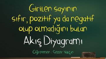 Örnek 2 – Girilen sayının sıfır, pozitif ya da negatif olup olmadığını bulan akış diyagramı