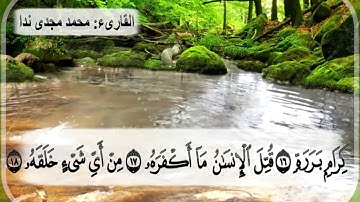 الجزء الثلاثون/ سورة عبس