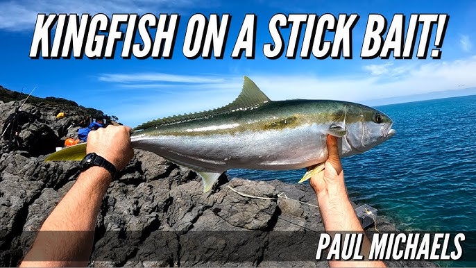 Inside Fishing: Huge Kingfish on Surface stick bait. 