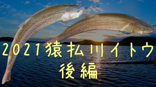 猿払川へイトウを釣りに行く旅2021年6月　Day2後編（part3）イトウは絶滅危惧種です 撮影などは短時間で済ませて優しくリリースをお願いします。Hokkaido FlyFishing