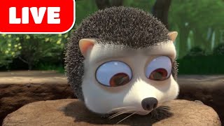 🔴 LIVE - Jungle Beat 🎶 - Cumburlop TV - Çocuklar için Komik Çizgi Filmler