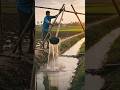 1000 Saal Purani Pani Uthane Ki Technique! Desi Jugaad Ka Kamaal 🌾💧 #Shorts