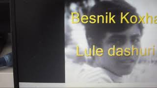 Video thumbnail of "Besnik Koxha Lule dashuri"