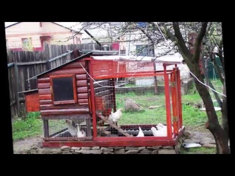 Практичные курятники, которые