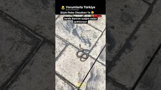 Ayakkabısından Yılan Çıkıyor 😱