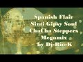 Spanish flair sinti gipsy soul chacha steppers megamix by dj rio k