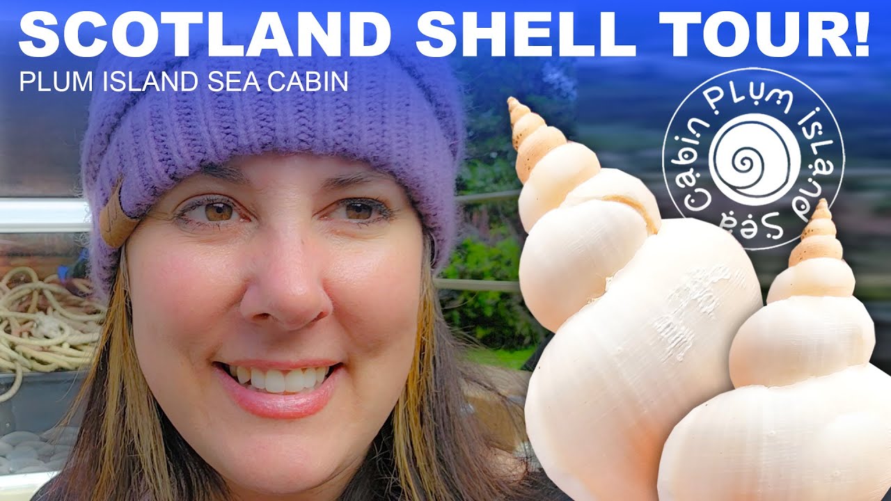 Scotland Shell Tour | Cold Water Shelling | Virtual Shelling | # ...