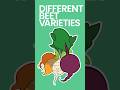 Different Beet Varieties #shorts