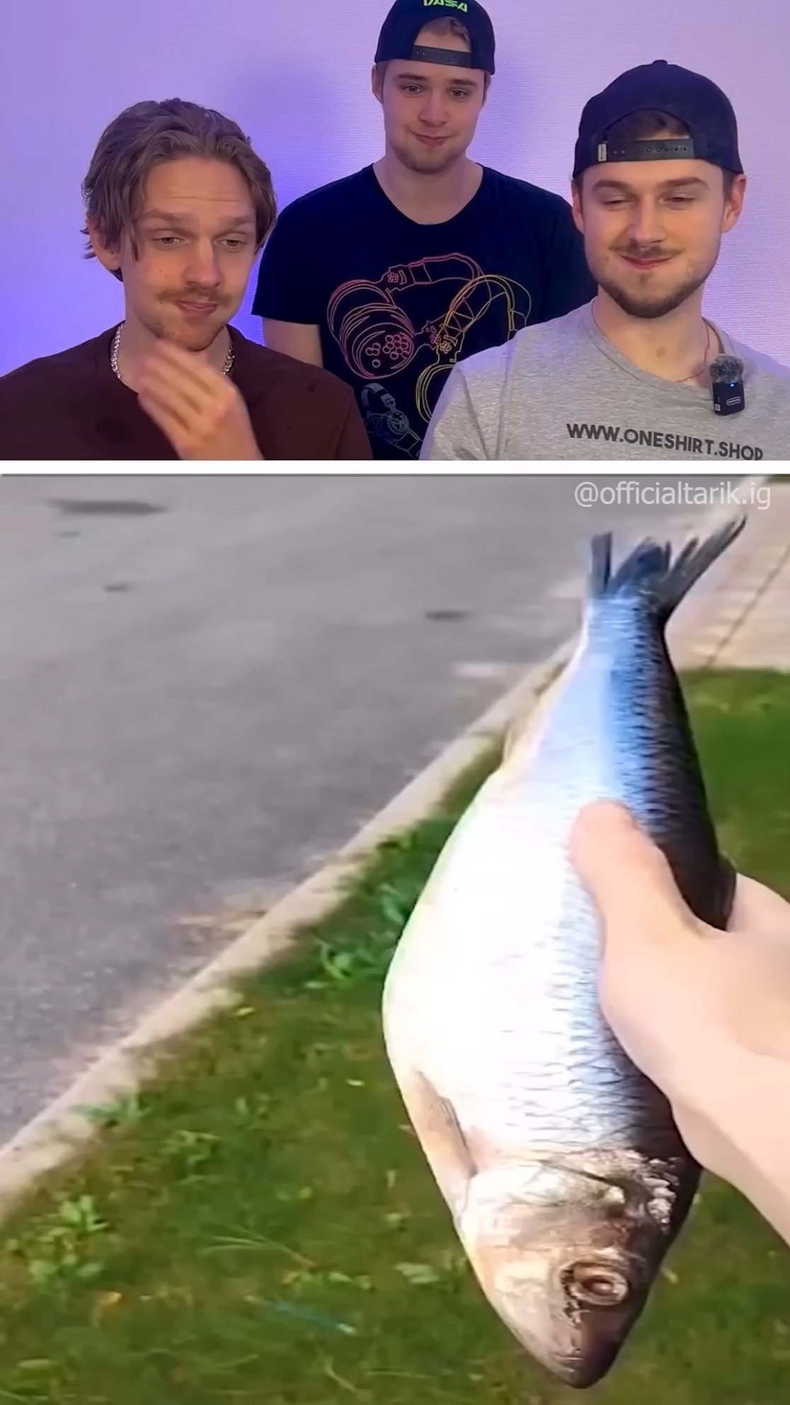 Best laughs of 2024 ???