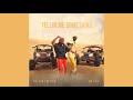 Nelson Freitas ft. Mr Eazi - Tellin Me Something