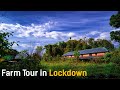 Lockdown में  Peepal Farm का दौरा, हिमाचल | Organic Farming | Sustainable Living | Mud house
