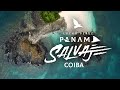 Lucho Pérez Panamá Salvaje - Isla Coiba Segunda Entrega