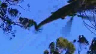 Blender Helicopter Animation Blender 2 82 Model Helicopter Animation