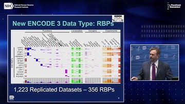 Report: ENCODE Project Update - Brenton Gravely