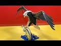 DIY Craft Instruction 3D Woodcraft Construction Kit EAGLE