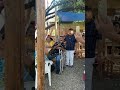 Victor sols ex tropicalisimo apache cantando con grupo la magia