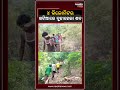 ୪ କିଲୋମିଟର ଖଟିଆ ରେ ବୁହାହେଲା ସବ |Naxatra News