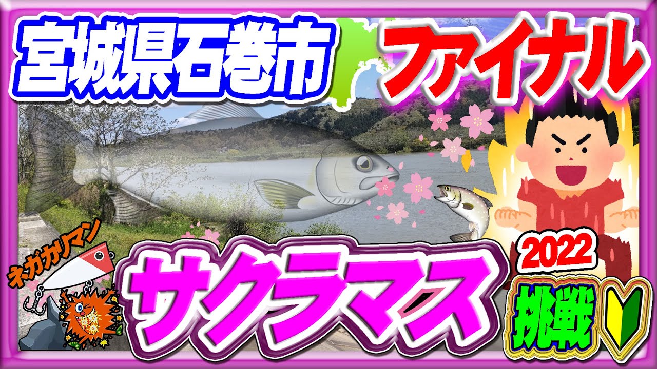サクラマスに挑戦 ファイナル 彡ソーシャルホールとは 追波川 北上川 Youtube