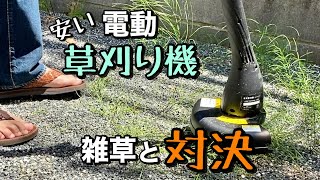 【庭メンテ】眠っていた電動草刈機を使って雑草にフェアウェル