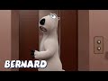 Бернард Медведь | Бернар застрял в лифте! И БОЛЬШЕ | Мультфильмы для детей | Полные эпизоды