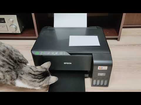 Epson L3250 borderless A4 printing via WiFi. L3110, L3150, L3260 and etc
