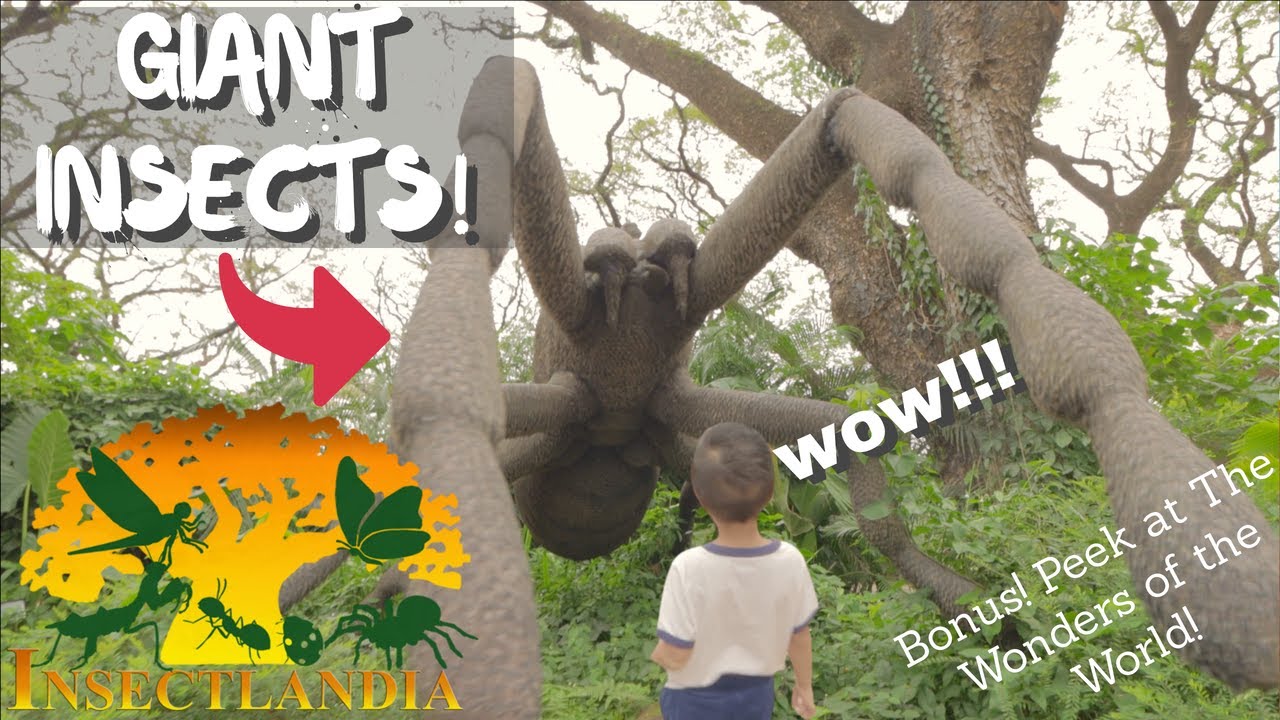 INSECTLANDIA's Animatronic Giant Insects are AMAZING| SEVILLA 4P - YouTube