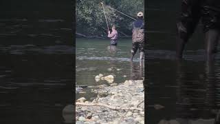 A female angler returns a salmon to the river!!   I ❤️ salmon fishing Canada ❤️ 🇨🇦