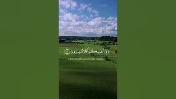 تلاوة رائعة | سعود الشريم 🌷 #تلاوة_خاشعة #قرآن #اكسبلور #راحة_نفسية #لايك #تابعوني
