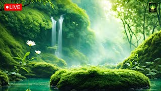 LIVE| Relaxing Music 24/7, Stress Relief Music, Meditation Music, Sleep Music, Study, Calming Music