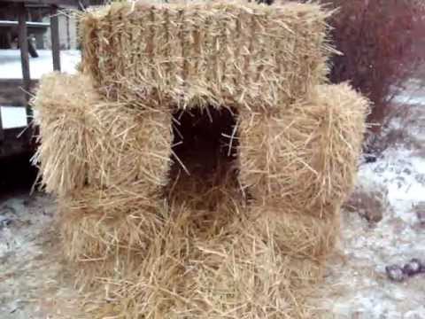 simple) outside dog house under $15.00 - YouTube