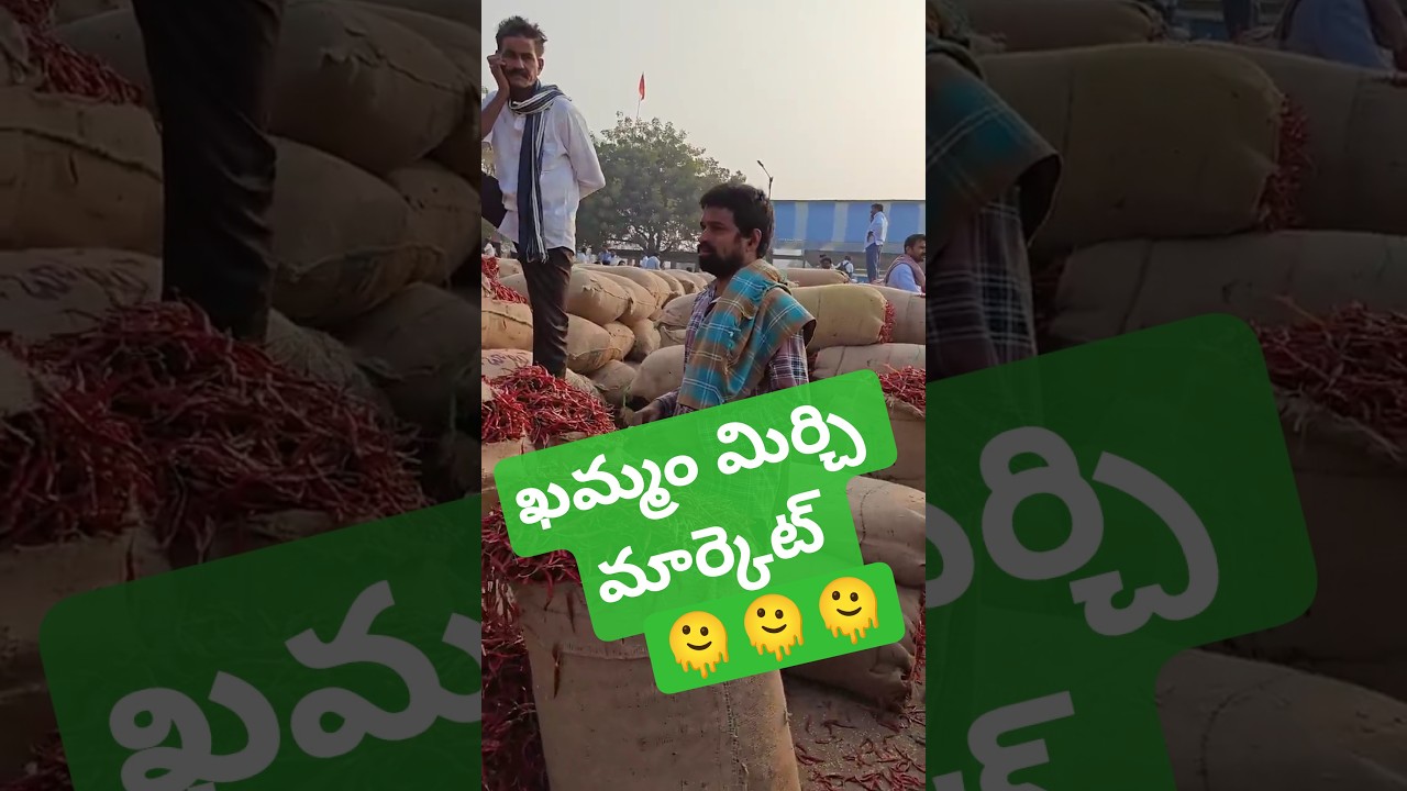 11/02/26 KHAMMAM MIRCHI TOTAL UPDATE 