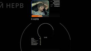 Челлендж на косарь | #ReadyOrNot #gamemoments #Challenge #Rec #Fyp