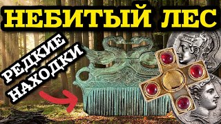 видео: ЛЕСНОЙ КОП ПО СТАРИНЕ, ОЧЕНЬ МНОГО РЕДКИХ НАХОДОК!! НЕ ОЖИДАЛ ТАКОГО ФАРТА!! КОП С МЕТАЛЛОИСКАТЕЛЕМ! картинка: ЛЕСНОЙ КОП ПО СТАРИНЕ, ОЧЕНЬ МНОГО РЕДКИХ НАХОДОК!! НЕ ОЖИДАЛ ТАКОГО ФАРТА!! КОП С МЕТАЛЛОИСКАТЕЛЕМ!